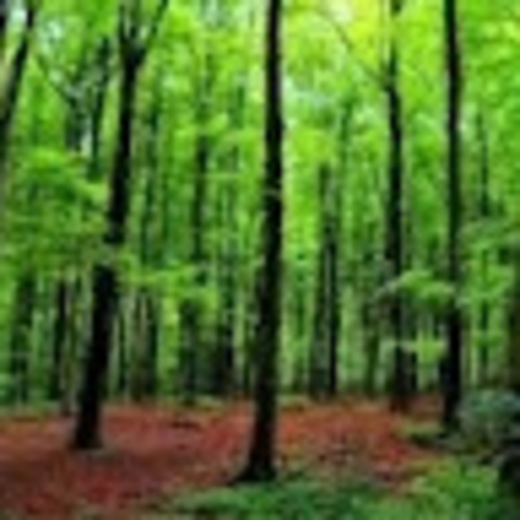 Meet your Posher, Amber-lee - Picture 1 of 1